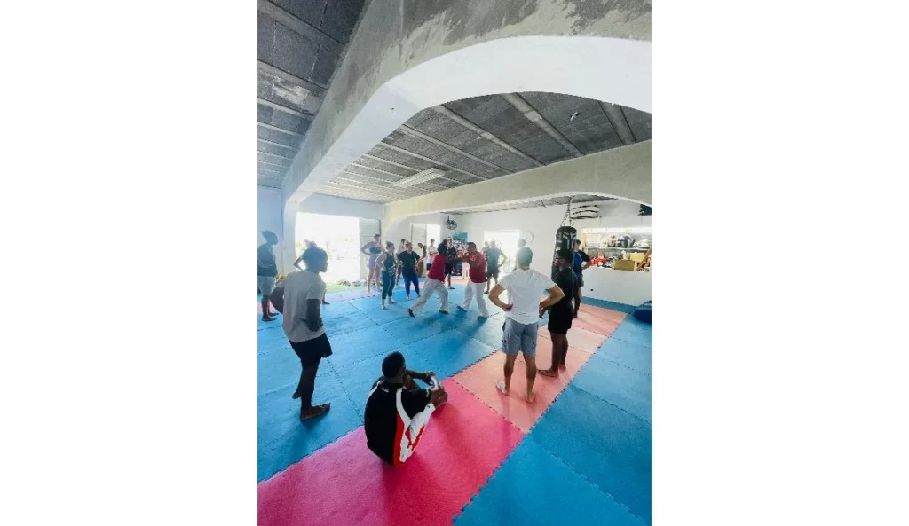 Groupe d’étudiants IPMS Saint-Louis en pratique d’arts martiaux sur tatamis colorés.