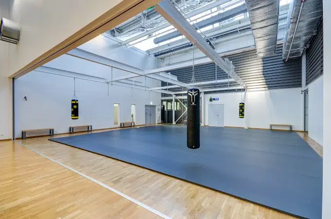 Salle d’entraînement libre équipée pour les exercices fonctionnels.