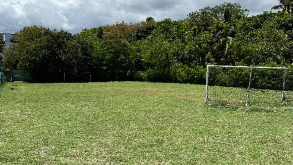 Terrain d’entraînement extérieur du campus IPMS Saint-Denis entouré d’arbres tropicaux.