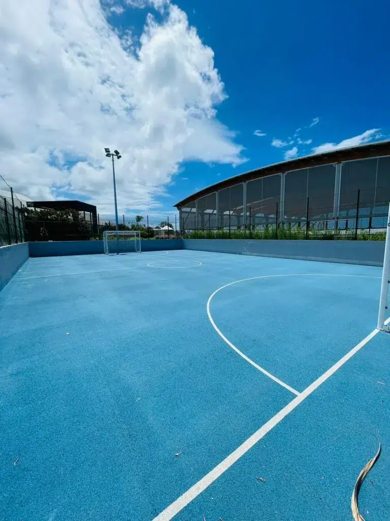 Terrain multisports bleu du campus IPMS Saint-Louis, entouré de grillages et d’équipements.
